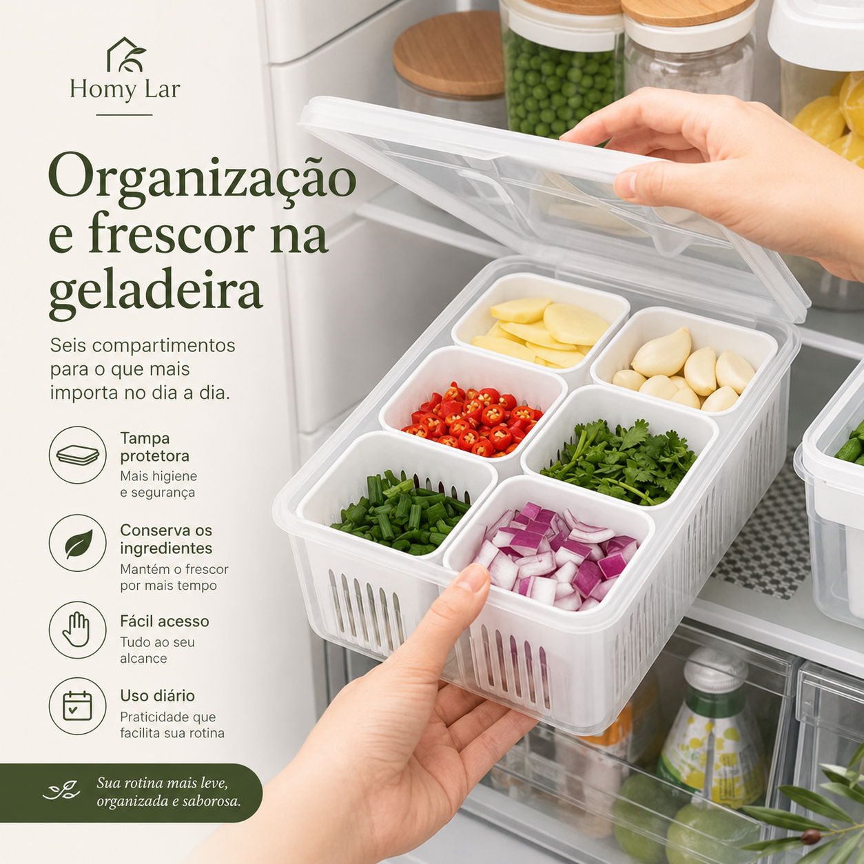 Organizador de Geladeira com Escorredor e Divisórias